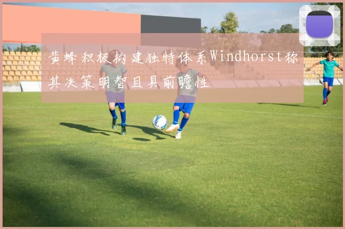 黄蜂积极构建独特体系Windhorst称其决策明智且具前瞻性